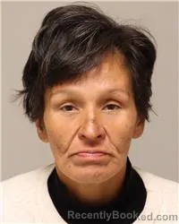 Mugshot of Dana Marie Jackson booked in Anoka County, Minnesota on August 19, 2026
