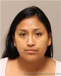 Mugshot of Allison Nicol Gallardo Lovato booked in Anoka County, Minnesota on August 21, 2026
