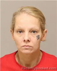 Mugshot of Aimee Renea Hanson booked in Anoka County, Minnesota on August 22, 2026