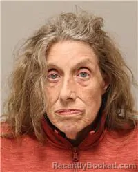 Mugshot of Sharon Anne Johnson booked in Anoka County, Minnesota on September 14, 2026