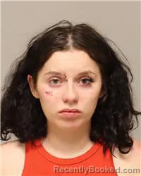 Mugshot of Anzhalika Mazol booked in Anoka County, Minnesota on September 28, 2026