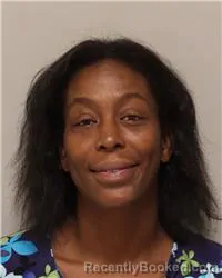 Mugshot of Latoya Elizabeth Chestnut booked in Anoka County, Minnesota on September 28, 2026