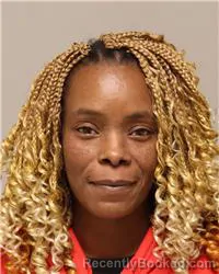 Mugshot of Teneshia Michelle Gowans booked in Anoka County, Minnesota on October 1, 2026