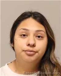 Mugshot of Joanna Amigon-Gil booked in Anoka County, Minnesota on October 2, 2026