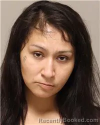 Mugshot of Savonnah Rose Sayers booked in Anoka County, Minnesota on October 2, 2026