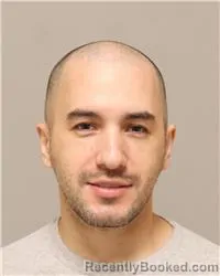 Mugshot of Semin Topalovic booked in Anoka County, Minnesota on October 6, 2026
