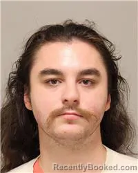 Mugshot of Rylan Monte Gressman-Nelson booked in Anoka County, Minnesota on October 6, 2026