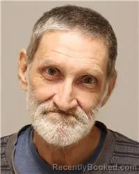 Mugshot of Ronald Louis Plocar booked in Anoka County, Minnesota on October 8, 2026