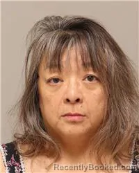 Mugshot of Rachael Chaisook Willcocks booked in Anoka County, Minnesota on October 13, 2026