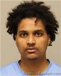 Mugshot of Kamal Madi Sheikh booked in Anoka County, Minnesota on October 13, 2026