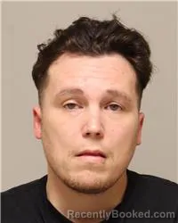 Mugshot of Leo Gilbert Wanna booked in Anoka County, Minnesota on October 14, 2026