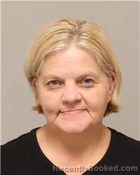 Mugshot of Michelle Rae Mcelhaney booked in Anoka County, Minnesota on October 15, 2026
