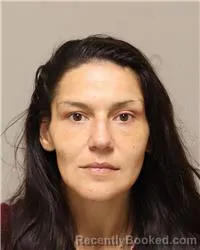 Mugshot of Nicole Dawn Schmidt booked in Anoka County, Minnesota on October 15, 2026