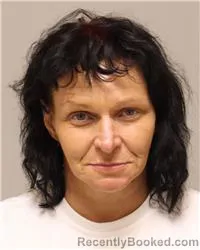 Mugshot of Jennifer Lynne White booked in Anoka County, Minnesota on October 15, 2026