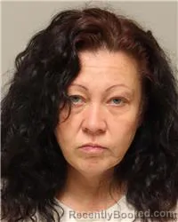 Mugshot of Nicole Christine Hanson booked in Anoka County, Minnesota on October 16, 2026