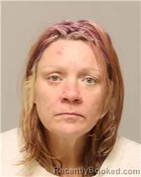 Mugshot of Sonya Marie Graybill booked in Anoka County, Minnesota on October 16, 2026