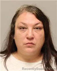 Mugshot of Holly Jo Villebrun booked in Anoka County, Minnesota on October 17, 2026