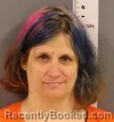 Mugshot of NICOLE MARIE HAIG booked in Becker County, Minnesota on April 23, 2026