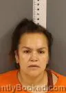 Mugshot of SHANNON JOY LUSSIER booked in Becker County, Minnesota on July 28, 2026