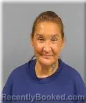 Mugshot of Cynthia Swan booked in Beltrami County, Minnesota on July 28, 2026