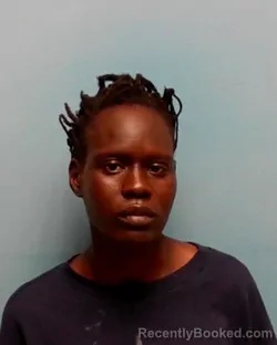 Mugshot of SUNDAY JOHANIS CHAN booked in Benton County, Minnesota on April 22, 2026