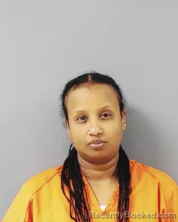 Mugshot of Muna Osman Mohamed booked in Benton County, Minnesota on October 4, 2026