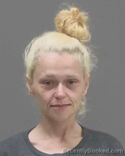 Mugshot of Amber Jo Harroun booked in Blue Earth County, Minnesota on August 29, 2026