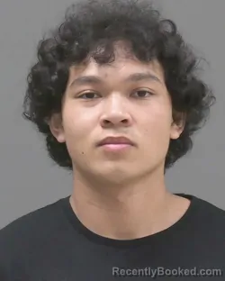 Mugshot of Brian Ha booked in Blue Earth County, Minnesota on July 31, 2026