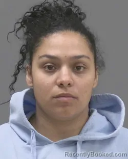 Mugshot of Desire Nicole Marie L Skinner booked in Blue Earth County, Minnesota on October 9, 2026