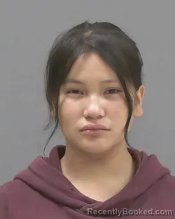 Mugshot of Wichapi Win Walking Crow booked in Blue Earth County, Minnesota on August 16, 2026