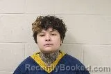 Mugshot of Destiny Joelyn Villarreal booked in Brown County, Minnesota on August 14, 2026
