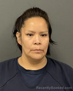 Mugshot of ALFREDA SALINA CREE booked in Clay County, Minnesota on July 6, 2026