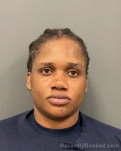 Mugshot of CYNTHIA JENNIFER DIAHN