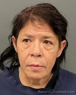 Mugshot of LINETTE LOUISE DECOTEAU booked in Clay County, Minnesota on March 31, 2026