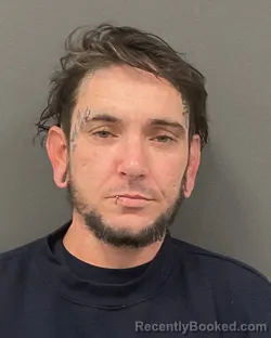 Mugshot of RAYMOND WILLIAM FLYNN