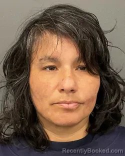 Mugshot of CHRISTY ANN HOLMES booked in Clay County, Minnesota on March 31, 2026