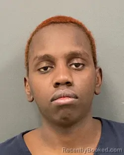Mugshot of ALSERE IRAKOZE
