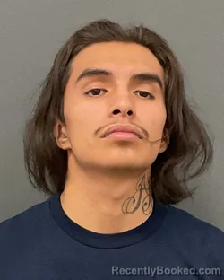 Mugshot of TRAVIS EARLY IRONBEAR