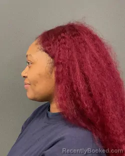 Mugshot of TASHA FAITH KENNEDY booked in Clay County, Minnesota on March 22, 2026