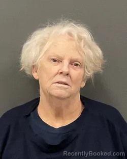 Mugshot of Ginger Lorrine Lemons booked in Clay County, Minnesota on September 10, 2026