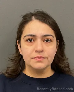 Mugshot of MARISSA LONGORIA