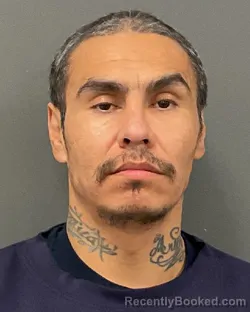 Mugshot of DELANO ROBERT MINER