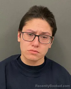 Mugshot of ELIZABETH MARIE MENDEZ
