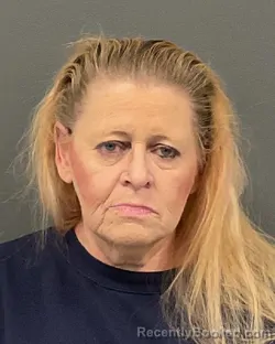 Mugshot of DEBRA ANN OTTERSTETTER booked in Clay County, Minnesota on March 21, 2026