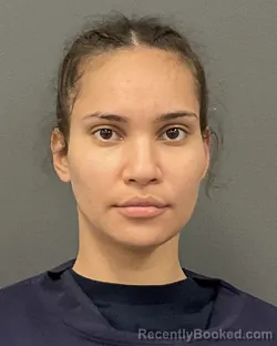 Mugshot of RACHEL ANNE MERESIANA VAVE booked in Clay County, Minnesota on March 30, 2026