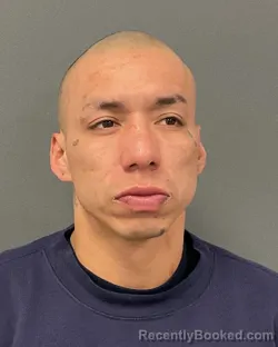 Mugshot of DALLAS JAY WHITE