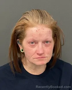 Mugshot of THERESA ANN WEBB booked in Clay County, Minnesota on June 13, 2026