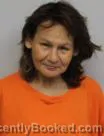 Mugshot of TRACEY SAICE booked in Clearwater County, Minnesota on July 17, 2026