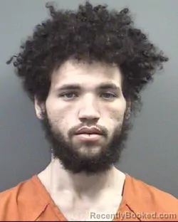 Mugshot of ADISON KYTONE GILL