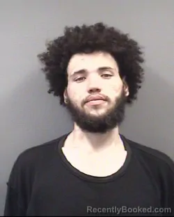 Mugshot of ADISON KYTONE GILL